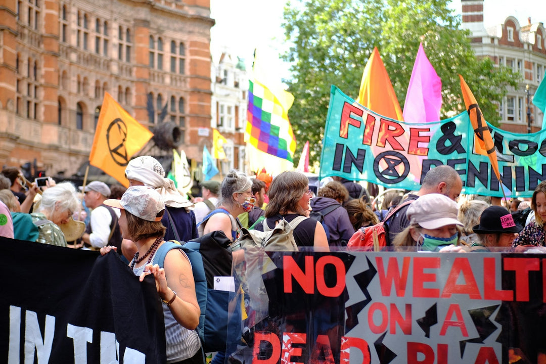 Youth Climate Activism Surges Across the Globe