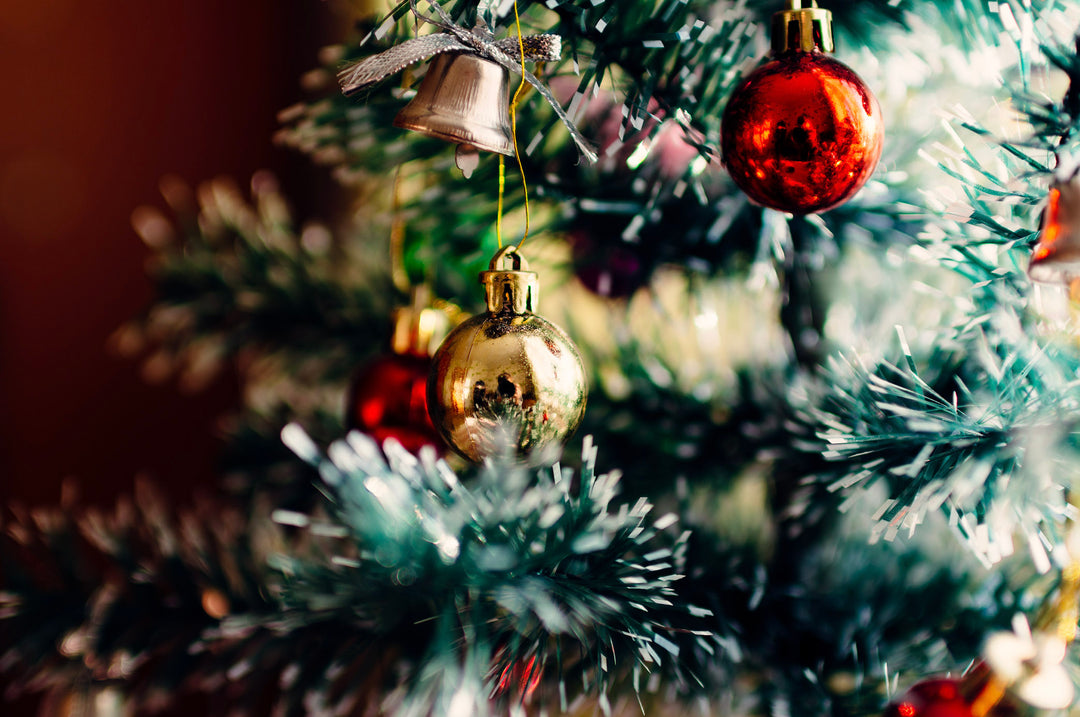 Spreading Green Joy: The Gift of Kindness in Eco-Friendly Living this Christmas