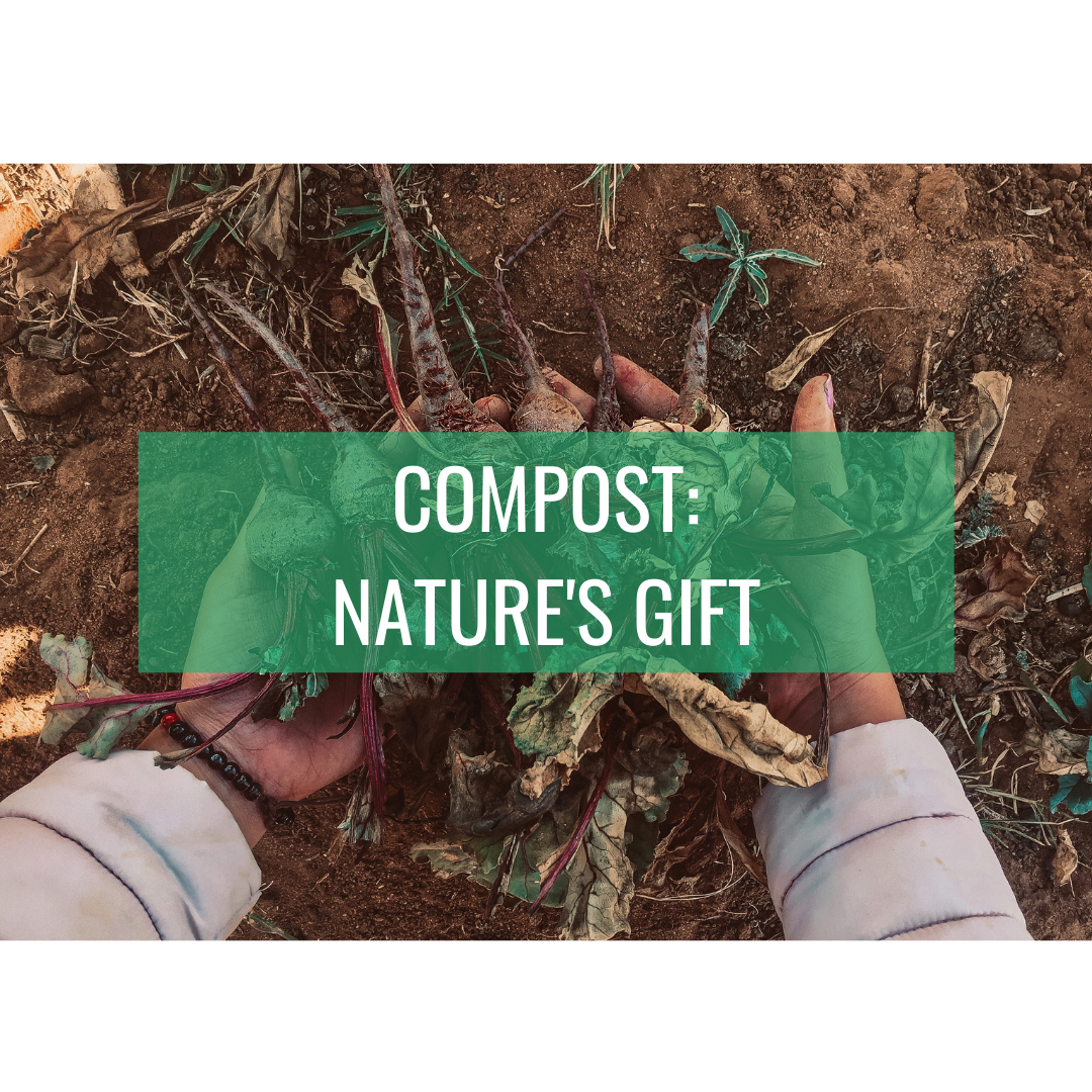COMPOST: NATURE'S GIFT