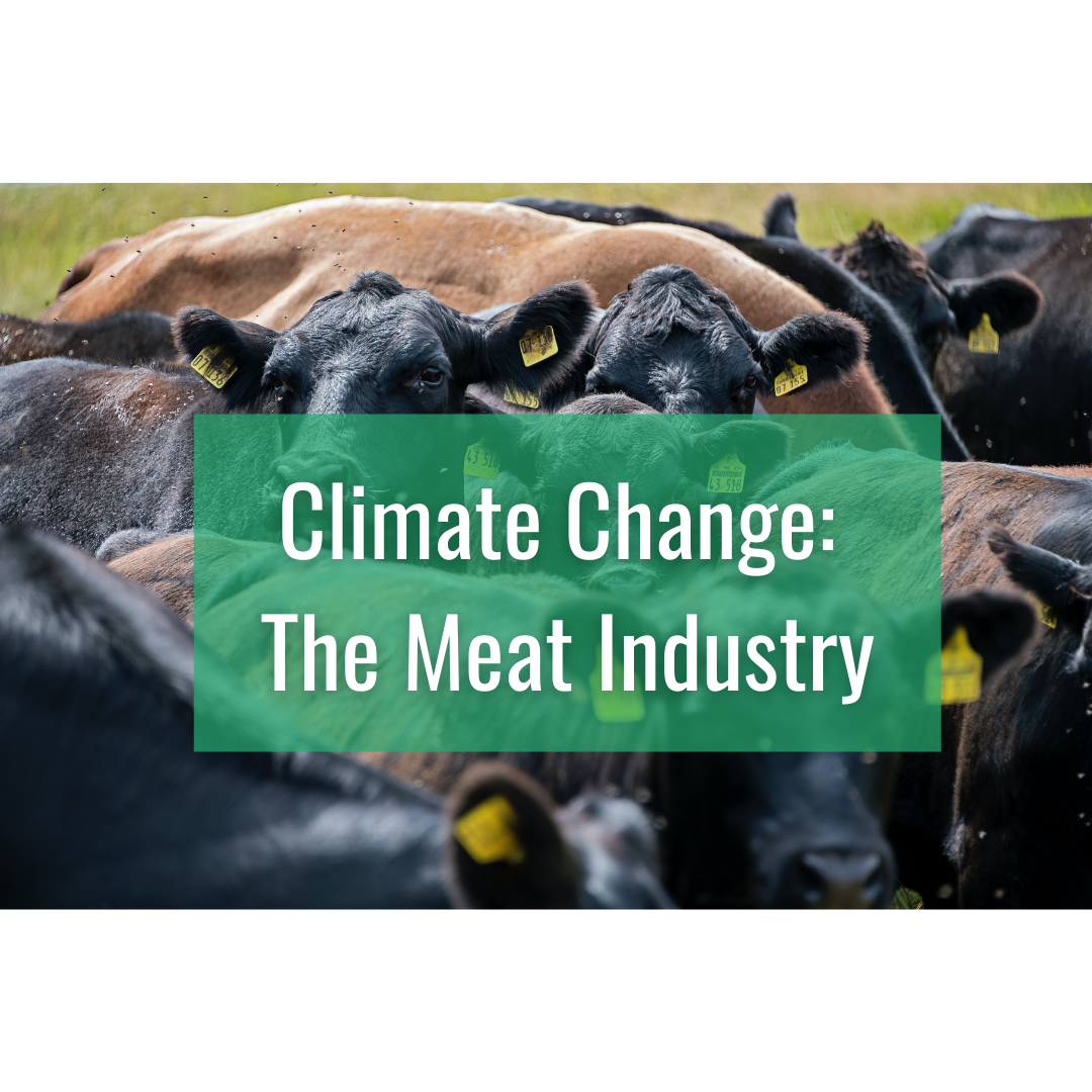 Climate Change: The Meat Industry