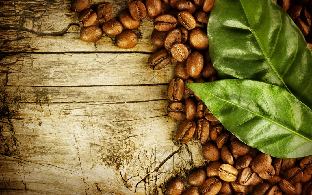 A Sustainable Coffee Day!