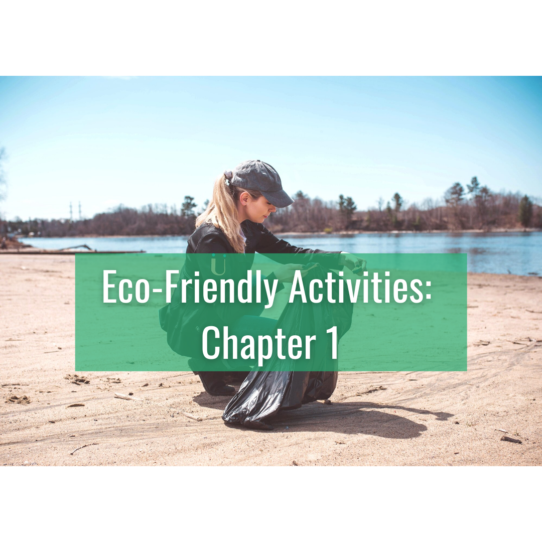 Eco-Friendly Activities: Chapter 1