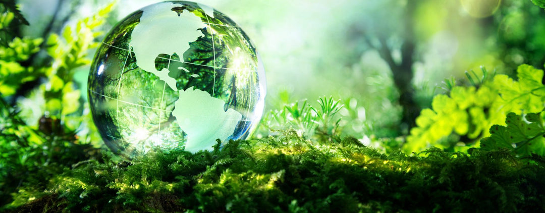 Biological Diversity Day: Embracing Nature!
