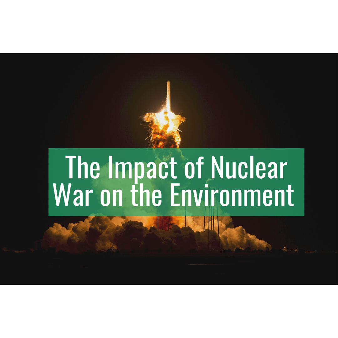 The Impact of Nuclear War on the Environment