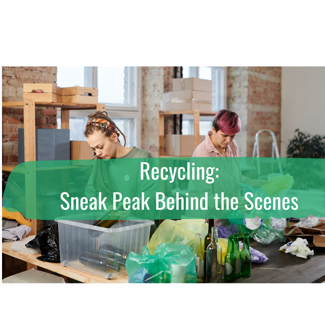 Recycling: Sneak Peek Behind The Scenes
