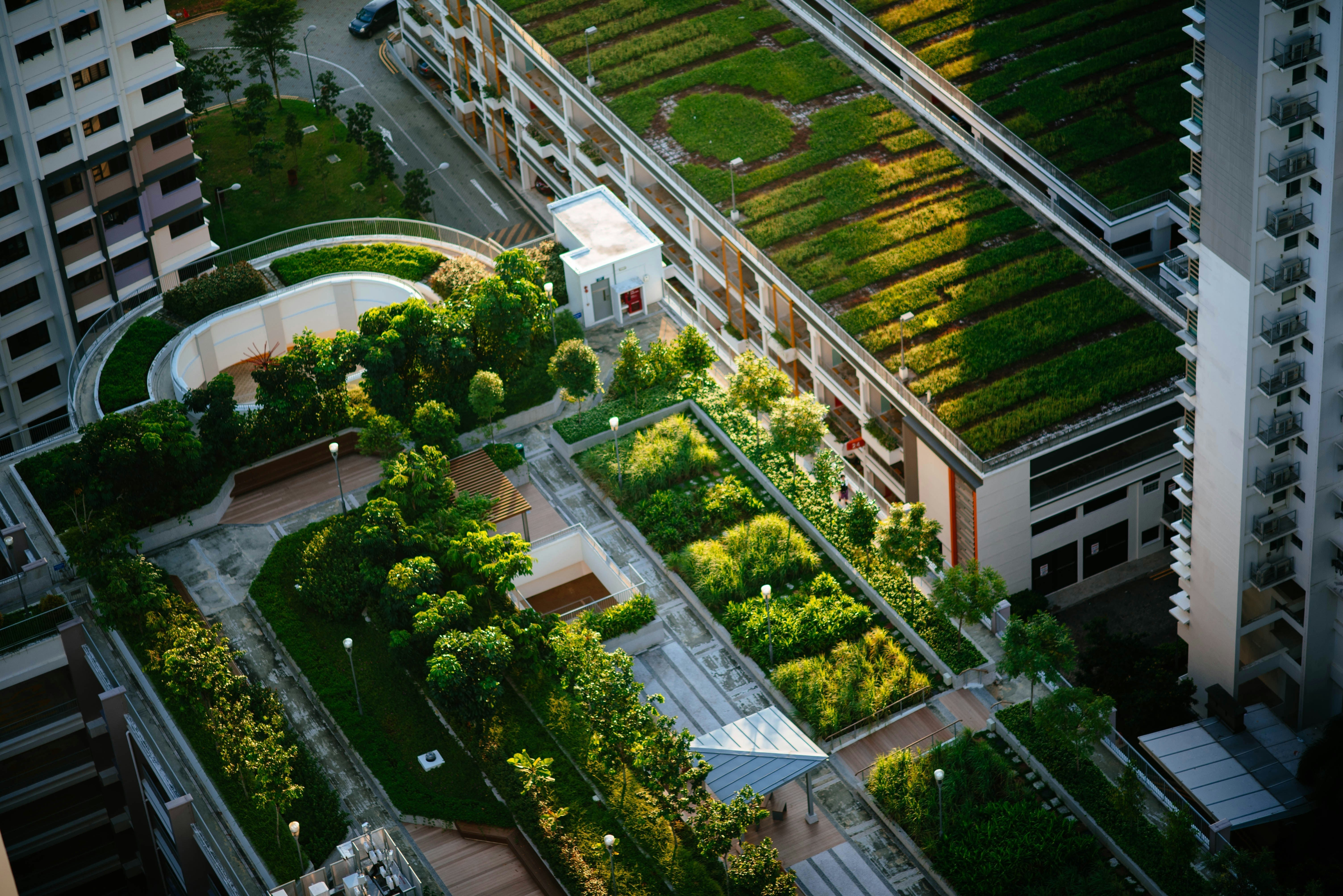 Creating Green Spaces in Urban Environments: A Path to Sustainable Cit ...