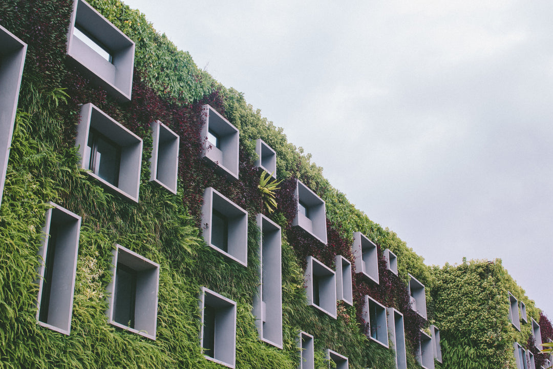 From Home to Eco-Haven: Chapter One
