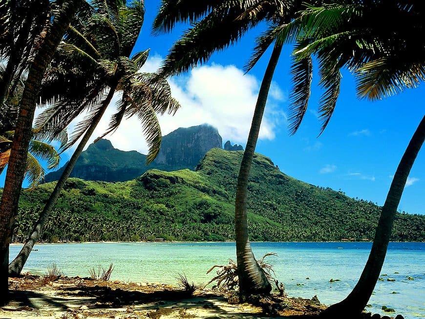 The Tropics: Lungs of The Earth