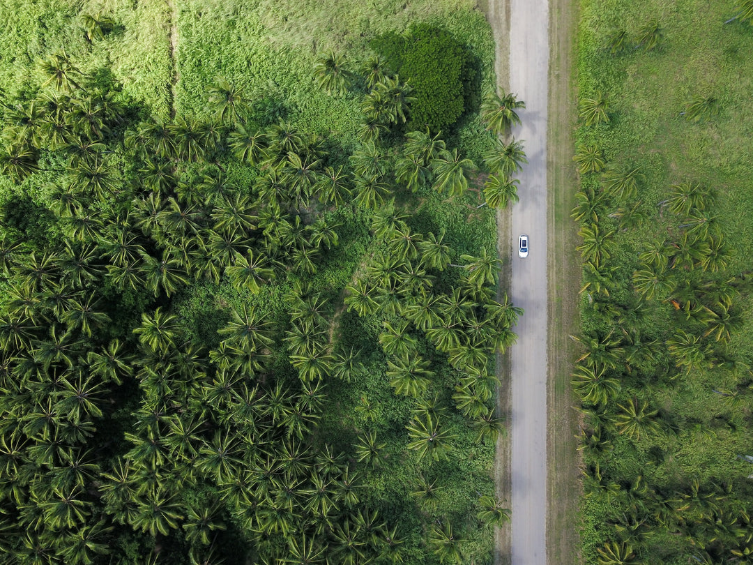 Driving Toward Sustainability