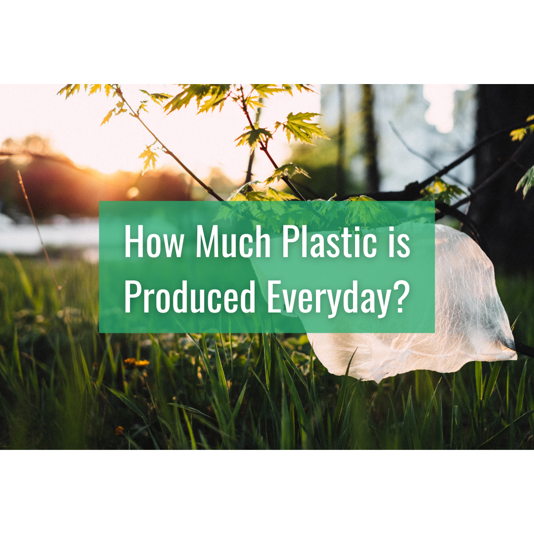 How Much Plastic is Produced Everyday?