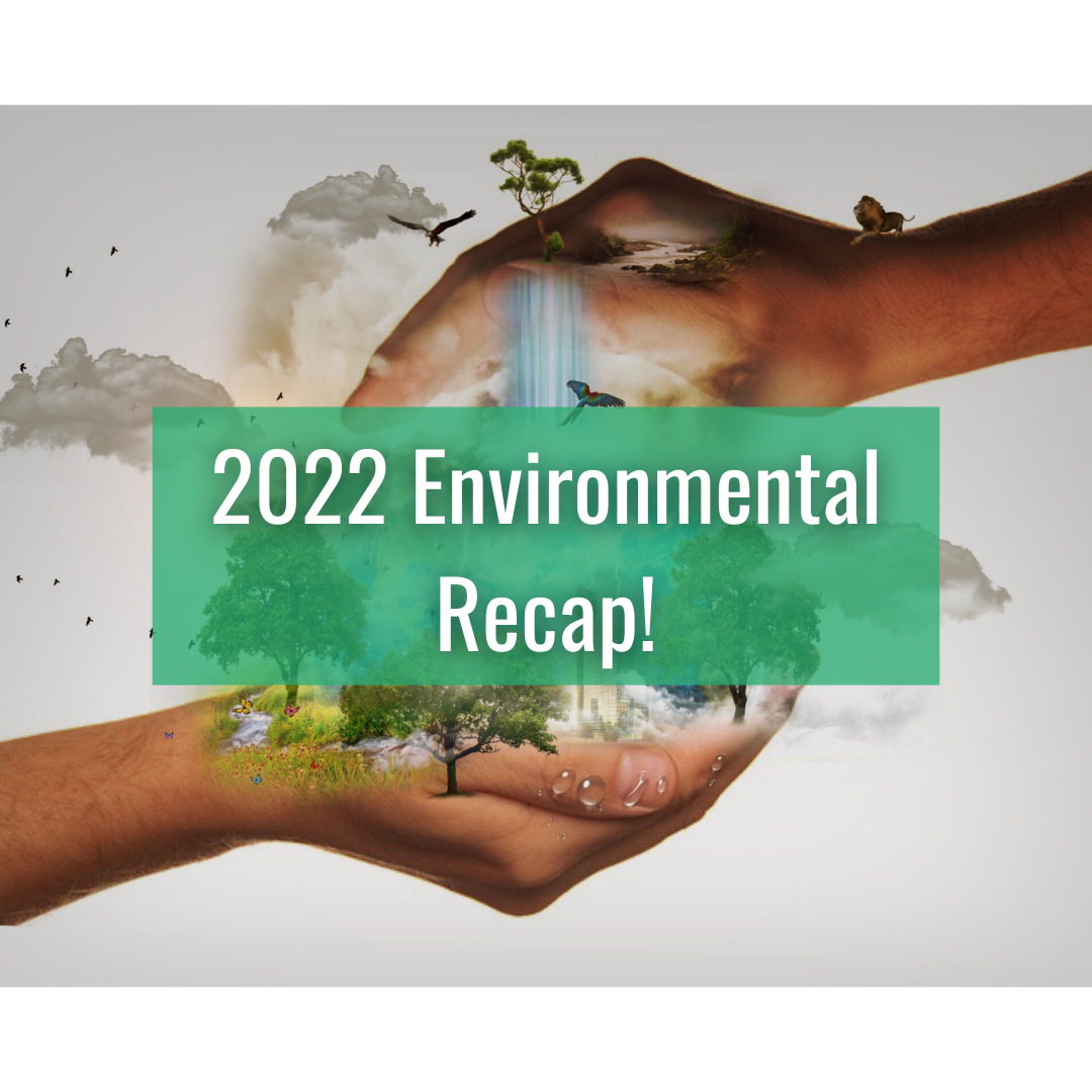 2022 Environmental Recap