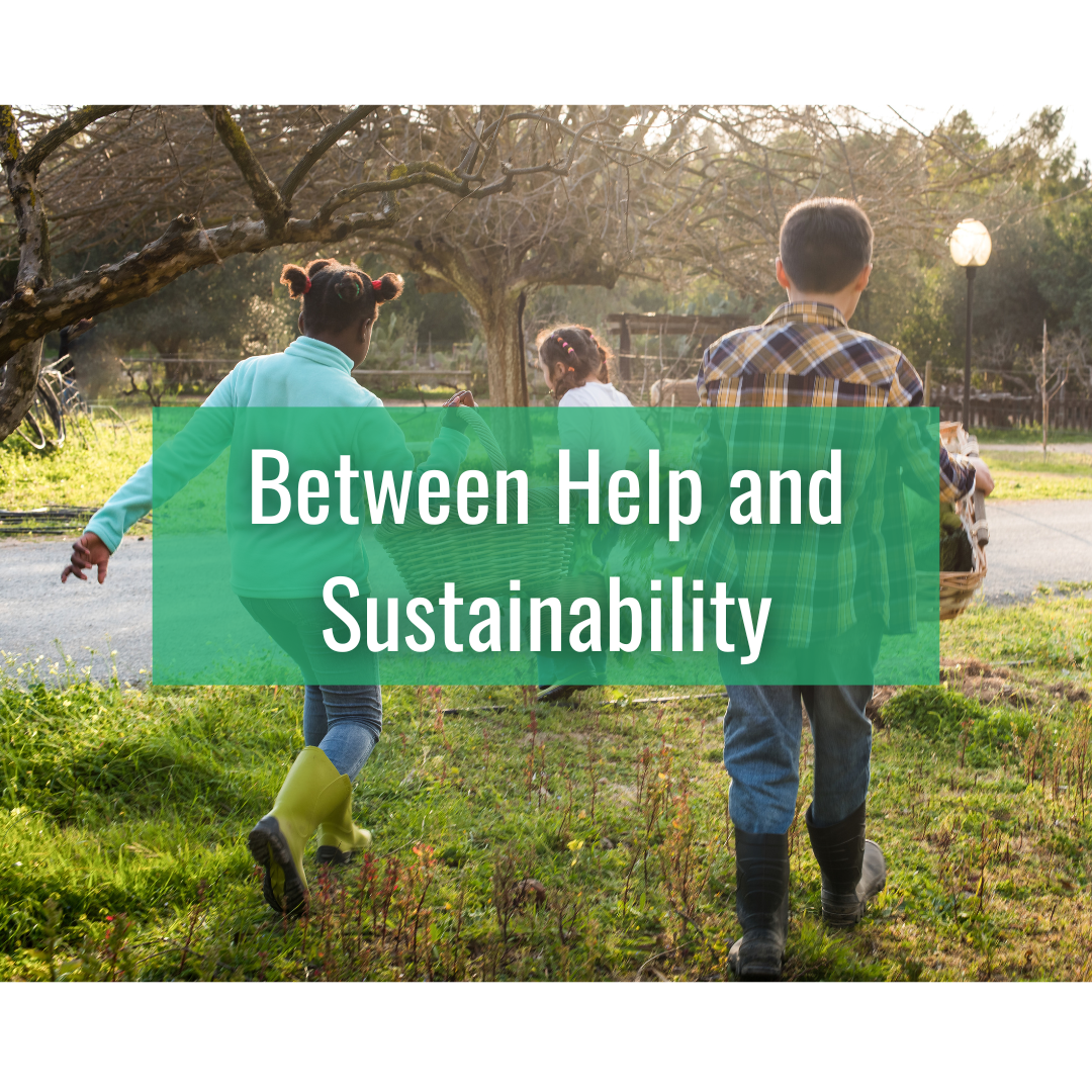 Between Help and Sustainability