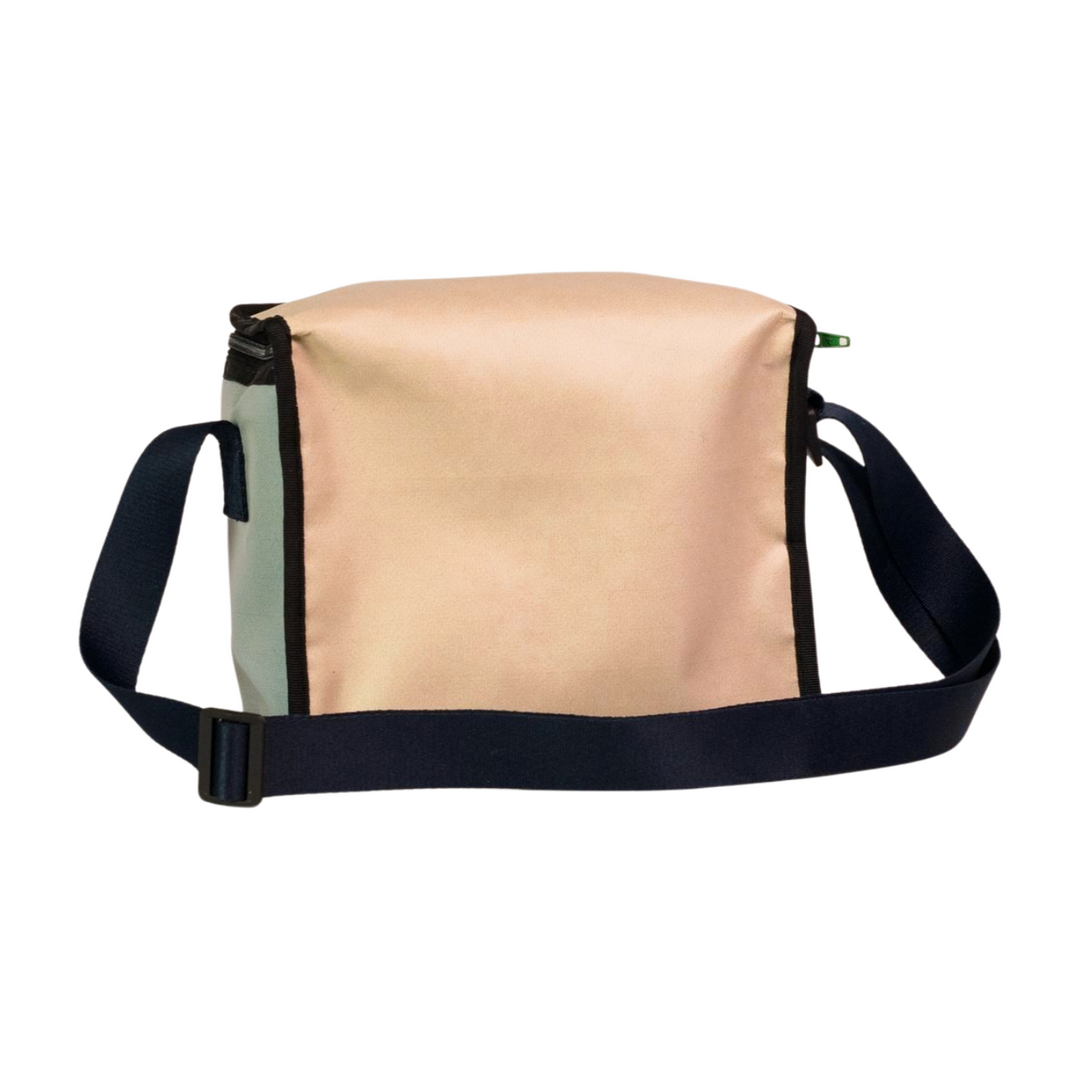 Lunch bag dog food package green & pink