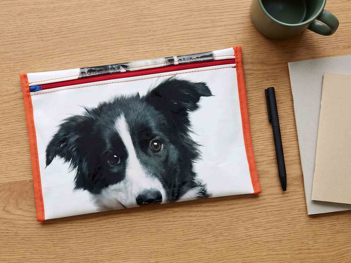 pencil case pet food package dog orange