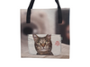 shopping bag cat food package curious gray