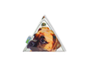 triangle purse dog food package white