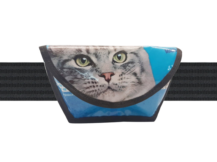 sunglasses case cat food package light blue