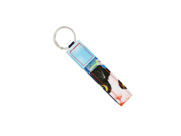 key holder cat food package blue