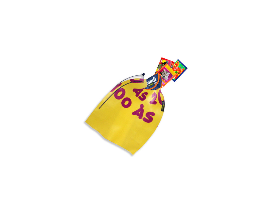mistery bag small 6 SURPRISES INSIDE - Garbags