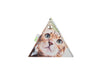 triangle purse cat food package light brown