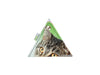 triangle purse cat food package green